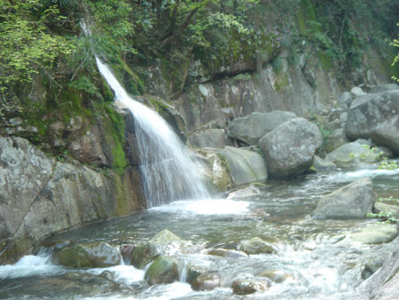 江西旅游發展論壇：旅游業是應對金融危機的“殺手锏”