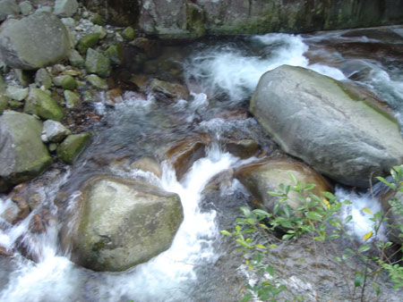 江西旅游發展論壇：旅游業是應對金融危機的“殺手锏”