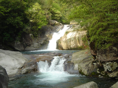 江西旅游發展論壇：旅游業是應對金融危機的“殺手锏”