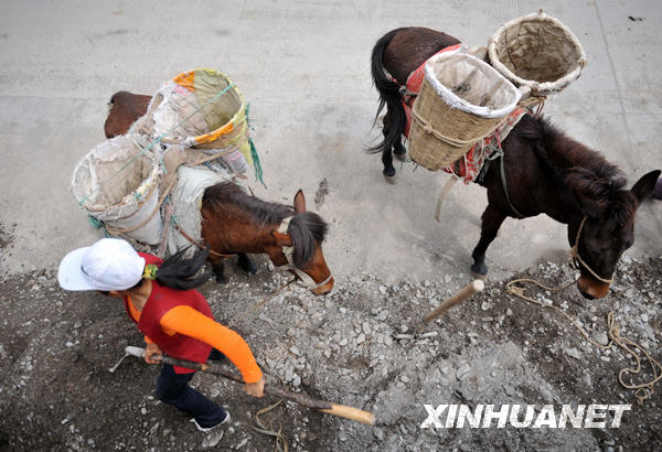 汶川地震一周年：騾馬馱出的新家園[組圖]