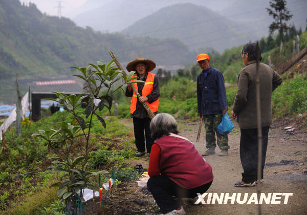 汶川地震一周年：映秀守墓人[組圖]
