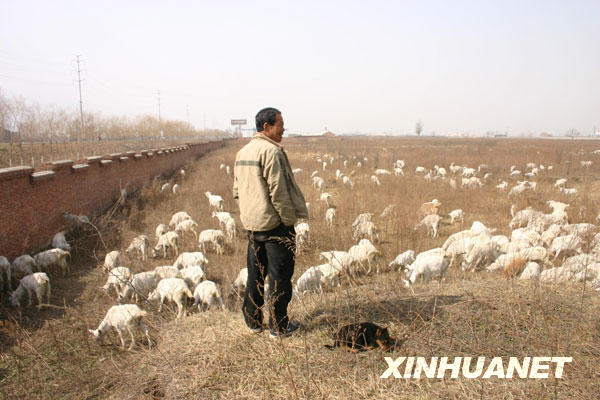 西安“奧體公園”何以變成“精品別墅”?
