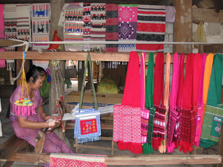 西雙版納傣族園組織非物質文化遺產培訓