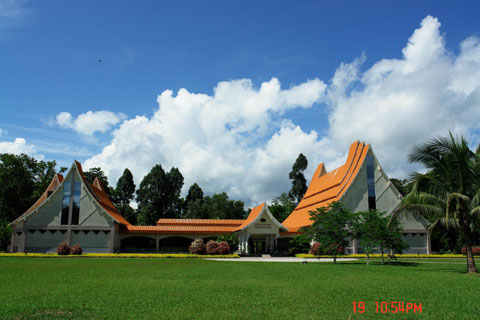 科學(xué)家版納植物園做導(dǎo)游