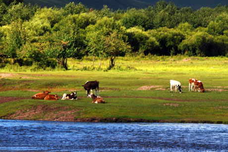 大興安嶺30項千萬以上項目簽約