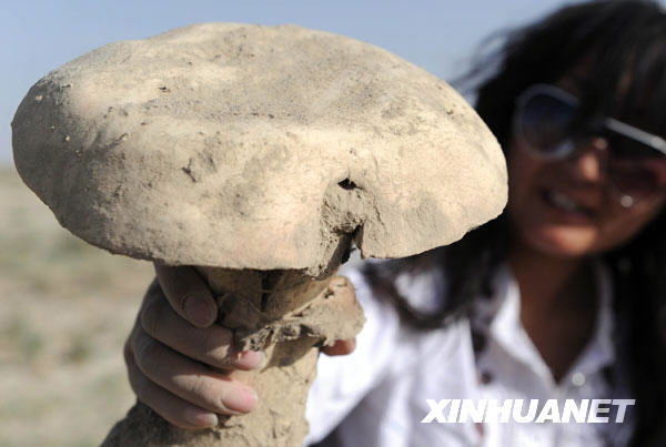 草原上的巨型蘑菇[組圖]