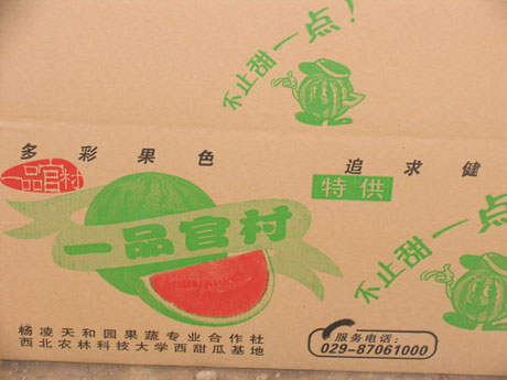 “一村一品”標(biāo)準(zhǔn)化 西瓜甜了 農(nóng)民樂了