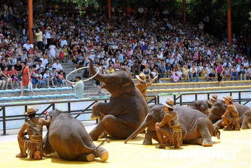 動物明星廣州上演童話劇[組圖]