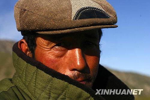 美麗的夏季草場[組圖]