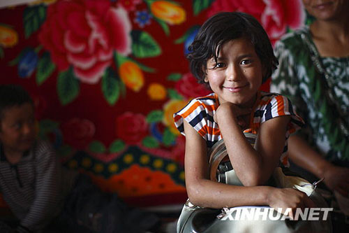 美麗的夏季草場[組圖]