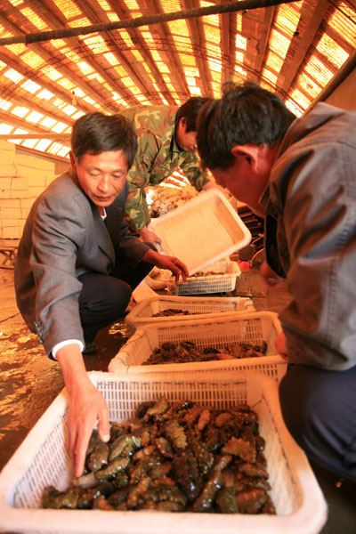 長島：藍色經濟新戰略(圖)
