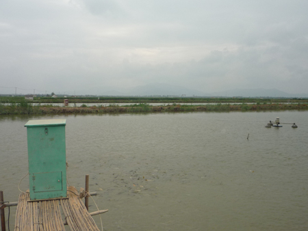 羅陽灘涂崛起蘇北最大萬畝生態高效養殖基地