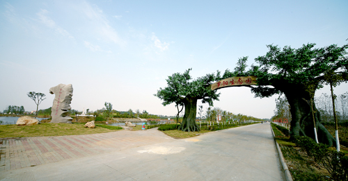 大力實施三民工程 贛榆羅陽打造幸福之鎮