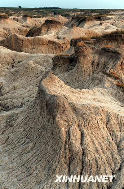 神奇的吉林乾安泥林[組圖]