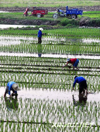 黃河實現連續十年不斷流[組圖]