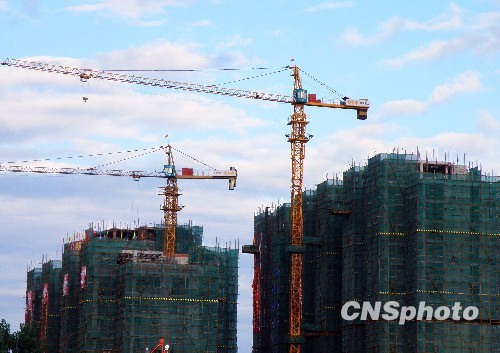 專家：房價將于今年12月回落 目前是極度泡沫