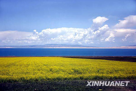 青海湖上好風光[組圖]