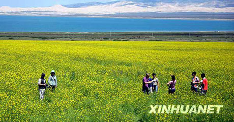 青海湖上好風(fēng)光[組圖]