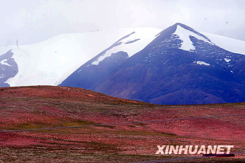 讓人迷醉的藏北無人區(qū)