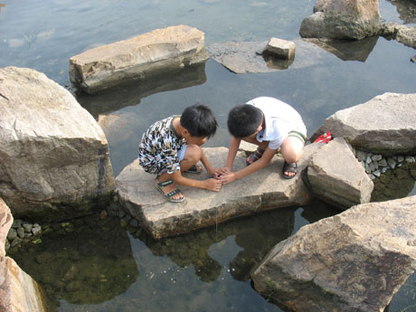 青島旅游之世紀公園