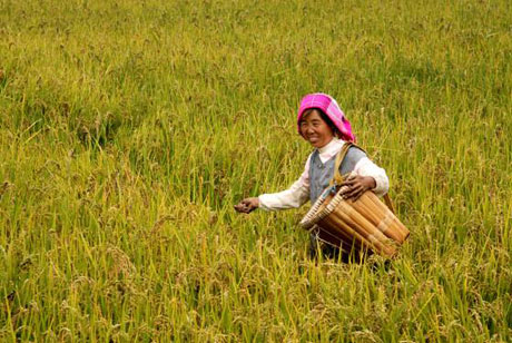 云南會(huì)澤金鐘鎮(zhèn)：一個(gè)新興的小康村[組圖]