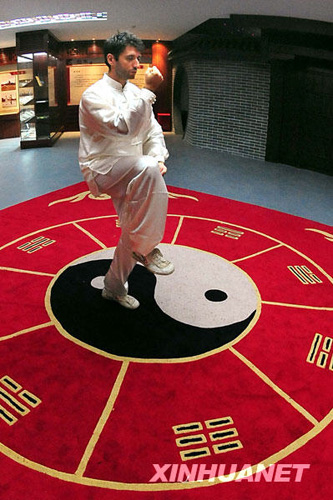 太極故里感受“中華國粹”[組圖]