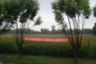 種養(yǎng)互補(bǔ)：榆陽區(qū)馬合鎮(zhèn)走出農(nóng)民增收新路子