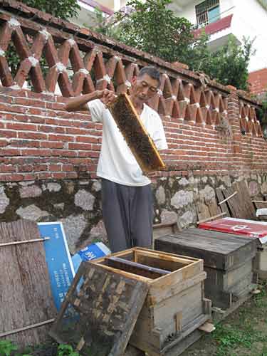 [記者手記]兄弟珍貴,老俵珍重-——我們在老區的家