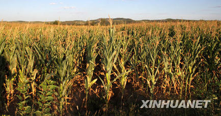 中國(guó)北方地區(qū)旱情回升 南方旱情發(fā)展迅速