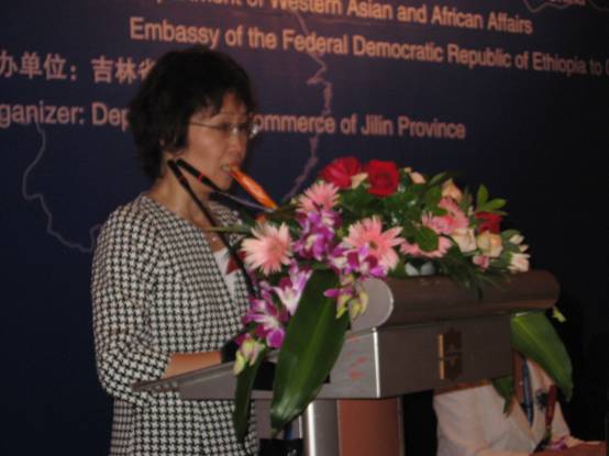 吉林省與非洲經濟貿易合作說明會在長春舉行