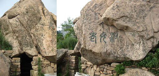 天馬島上罕見百歲仙人洞