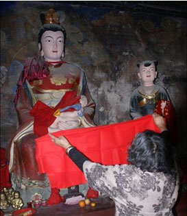 天馬島上罕見百歲仙人洞