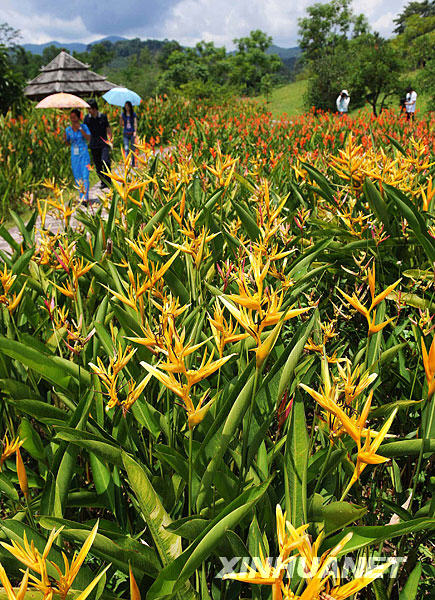 [經典中國輝煌60年]景洪——西雙版納“黎明之城”的美麗容顏