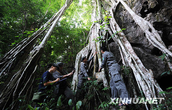 [經典中國輝煌60年]景洪——西雙版納“黎明之城”的美麗容顏