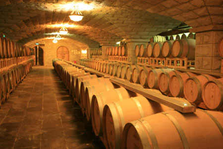 煙臺：東方葡萄海岸成為旅游熱點