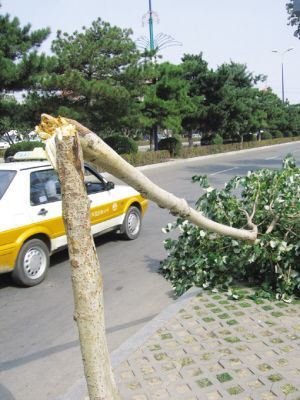 冷空氣將襲擊我國大部地區 大風降雨降溫伴霜凍