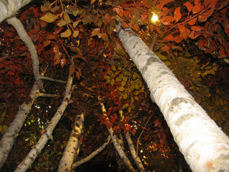 “第三屆龍江行”采訪團抵達鶴崗參觀采訪（組圖）