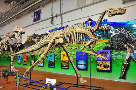 恐龍化石骨架現身青島濰坊周（圖）