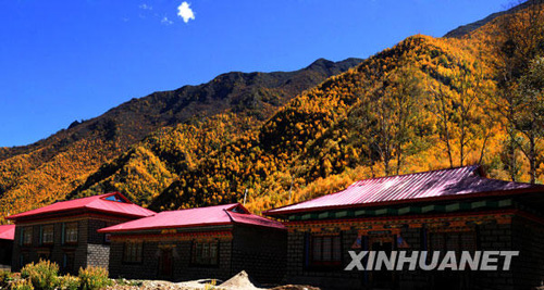 藏東秋韻[組圖]