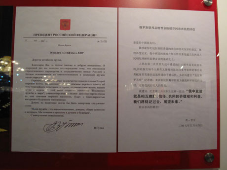 嘎麗婭——友誼和平天使