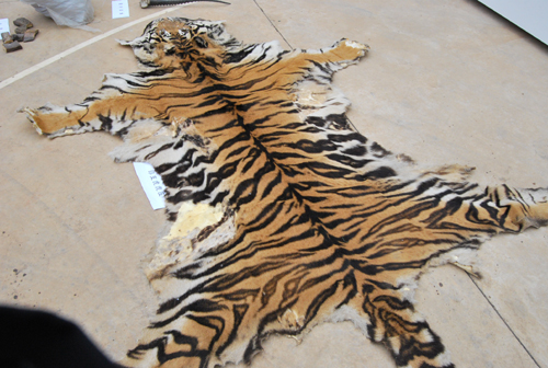 昆明森林公安局打擊破壞野生動(dòng)植物資源違法犯罪見成效