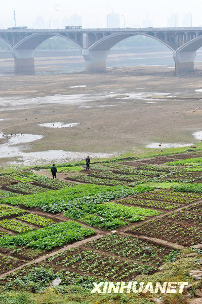 湘江枯水 300萬(wàn)居民飲水受威脅