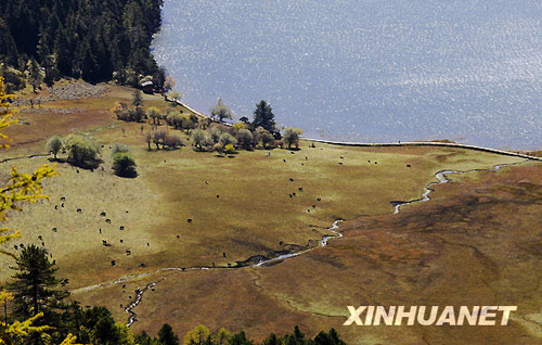 深秋秘境香格里拉