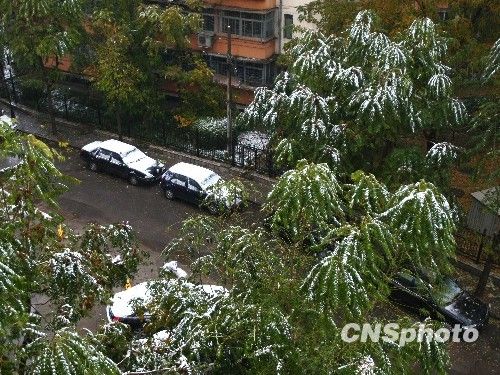 北京受降雪影響部分航班延誤 已啟動應急預案