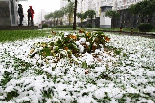 北京受降雪影響部分航班延誤 已啟動應急預案