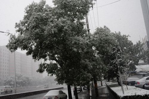 北京受降雪影響部分航班延誤 已啟動應(yīng)急預(yù)案