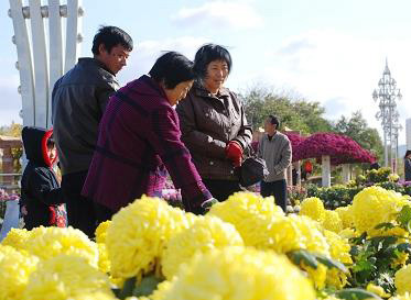 2009海陽迎亞沙金秋菊展開展