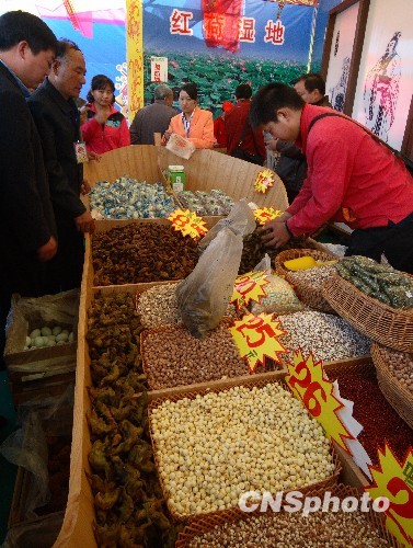 10月份CPI環(huán)比下降0.1% 食品類價格上漲1.6%