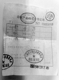 死豬私宰運銷網絡曝光：死豬肉加工成羊肉卷