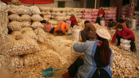 2009：瘋狂的大蒜 價(jià)格翻了52倍！